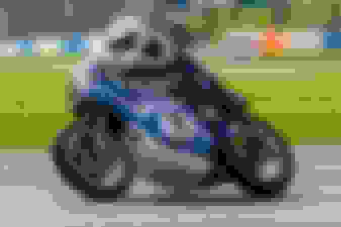 Grand Prix Bike Display - Suzuki TR750