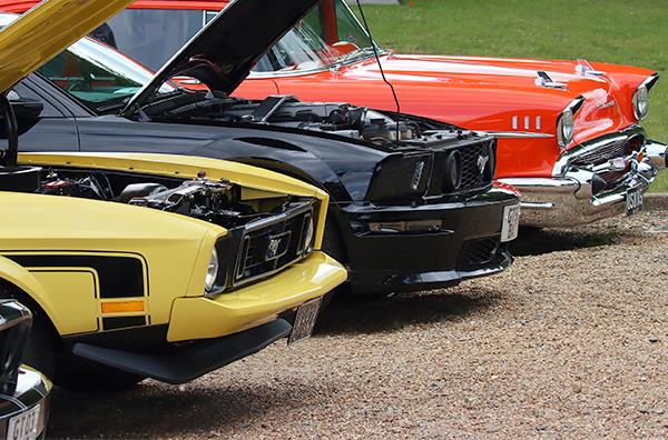 American Vehicles Display