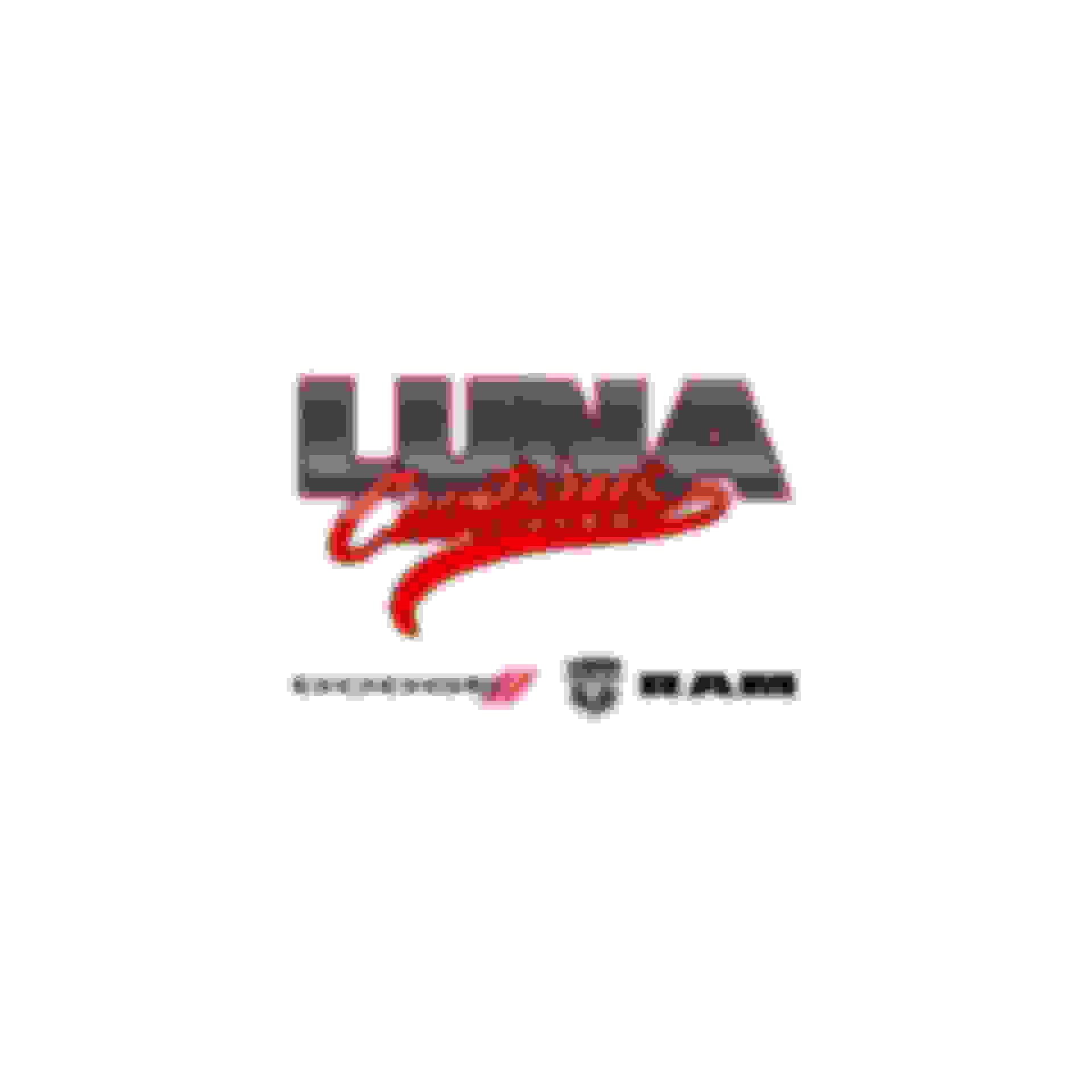 Luna Customs Dodge & RAM Display 