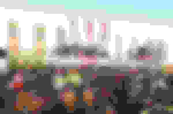 Trade Sites